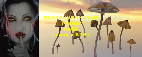 твердый Медногорск