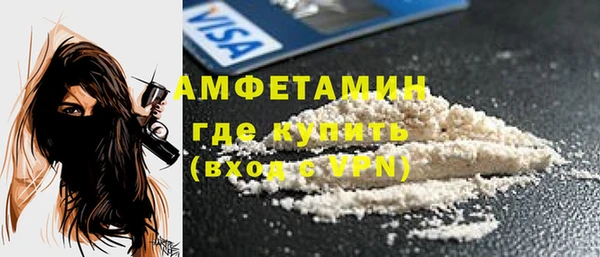 индика Мегион