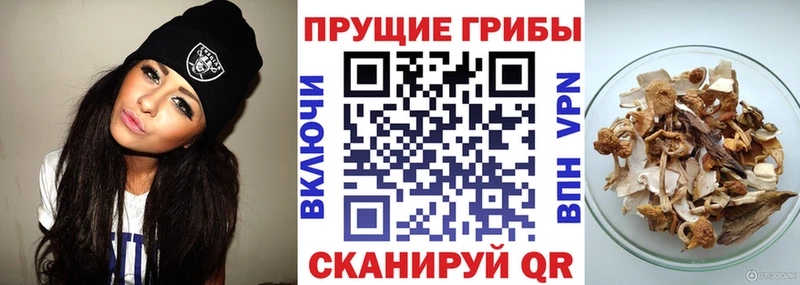 Псилоцибиновые грибы прущие грибы  дарк нет телеграм  Серафимович  купить  